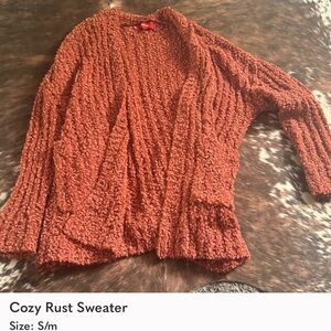 Cozy Rust Sweater